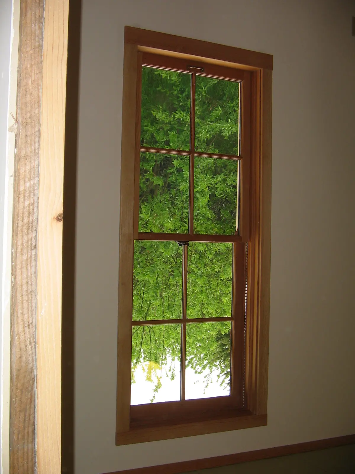 Close view of a divided-lite wood window